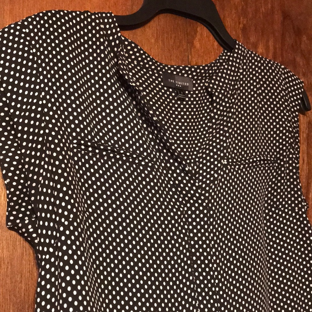 The Limited Blouse